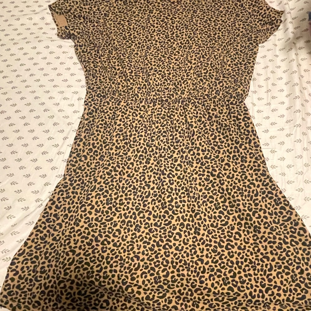 Cheetah Print Cinch Dress